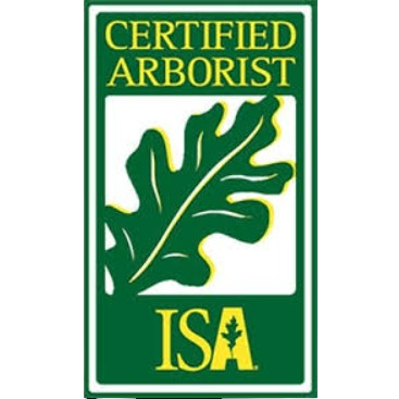 Certified Tree Pruner